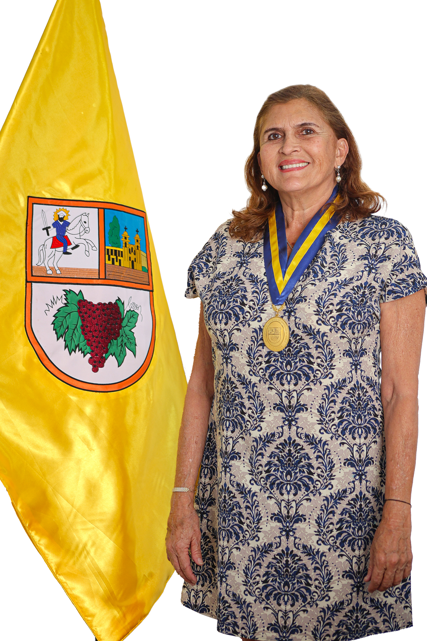 Ana Goyenechea Basadre