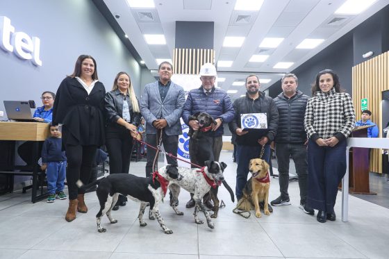 Entel recibe de la Municipalidad de Surco certificado de Local Pet Friendly