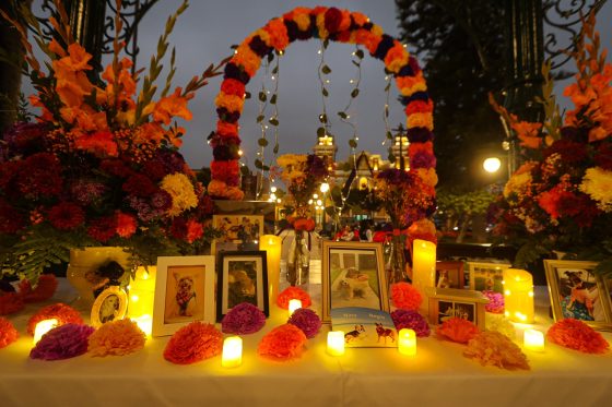 Mascotas que partieron son honradas con altar en la Plaza de Armas de Surco Pueblo