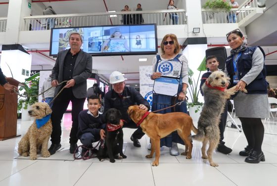 Centro Comercial Caminos del Inca permitirá el ingreso de mascotas a sus instalaciones